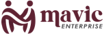 Mavic Enterprise